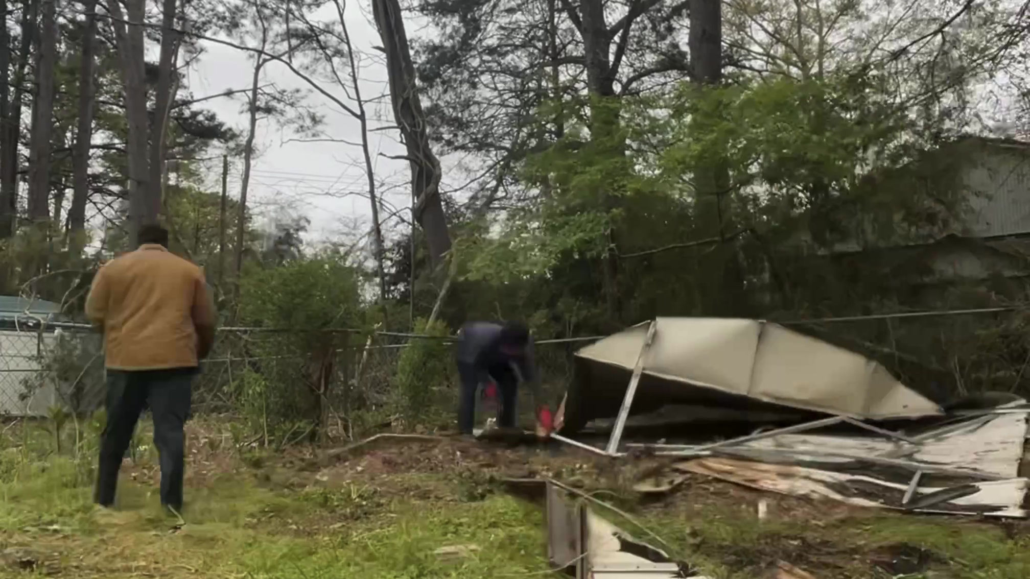 Backyard Shed Removal